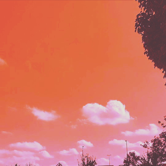 Link to Lunch Clouds