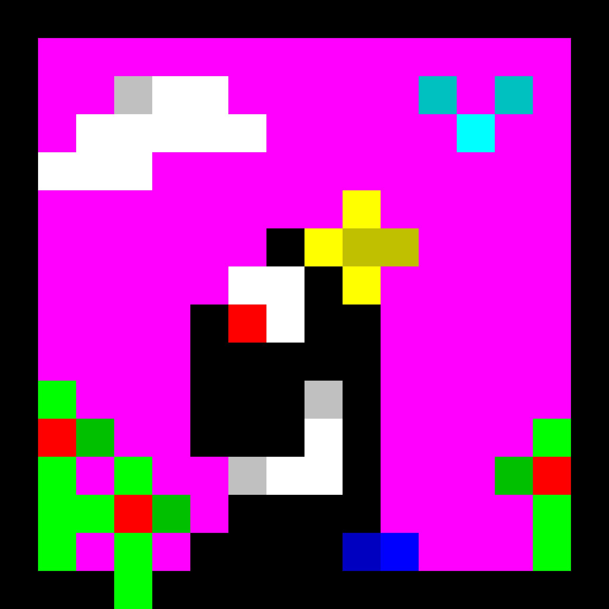 Link to Gracie House